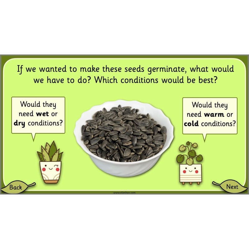PlanBee Growing Plants KS1 Plants Year 2 Science Resources | PlanBee