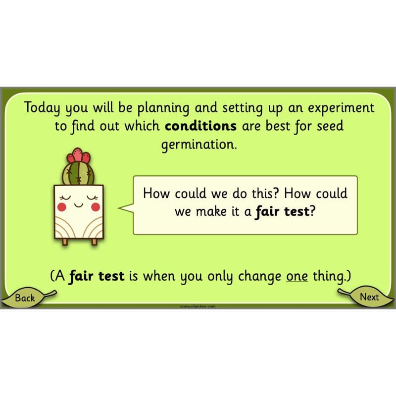 PlanBee Growing Plants KS1 Plants Year 2 Science Resources | PlanBee