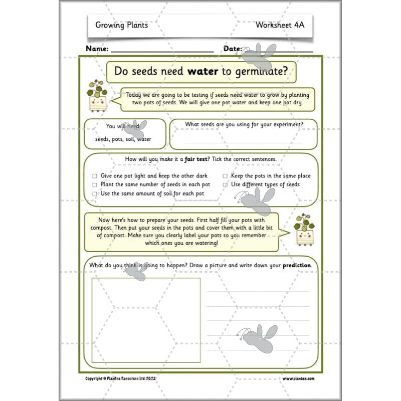 PlanBee Growing Plants KS1 Plants Year 2 Science Resources | PlanBee