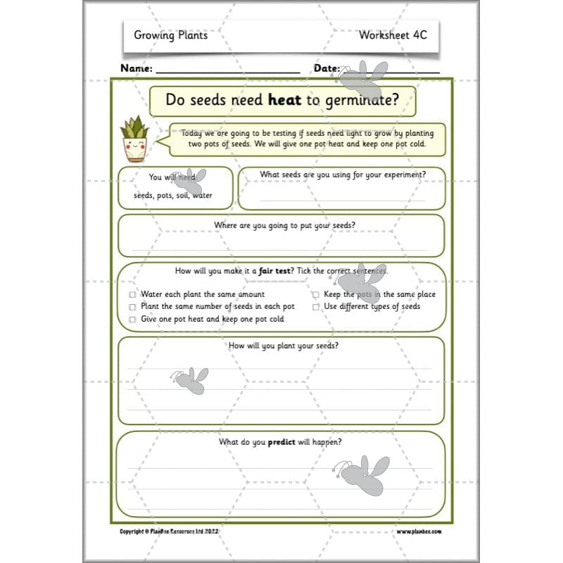 PlanBee Growing Plants KS1 Plants Year 2 Science Resources | PlanBee