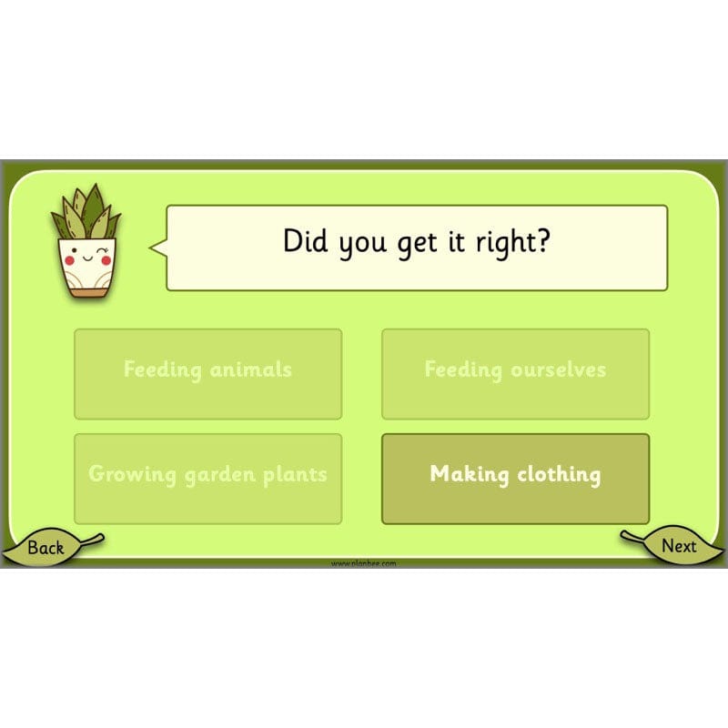 PlanBee Growing Plants KS1 Plants Year 2 Science Resources | PlanBee