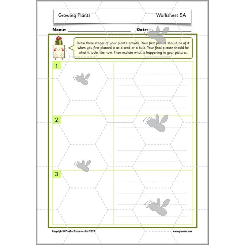 PlanBee Growing Plants KS1 Plants Year 2 Science Resources | PlanBee