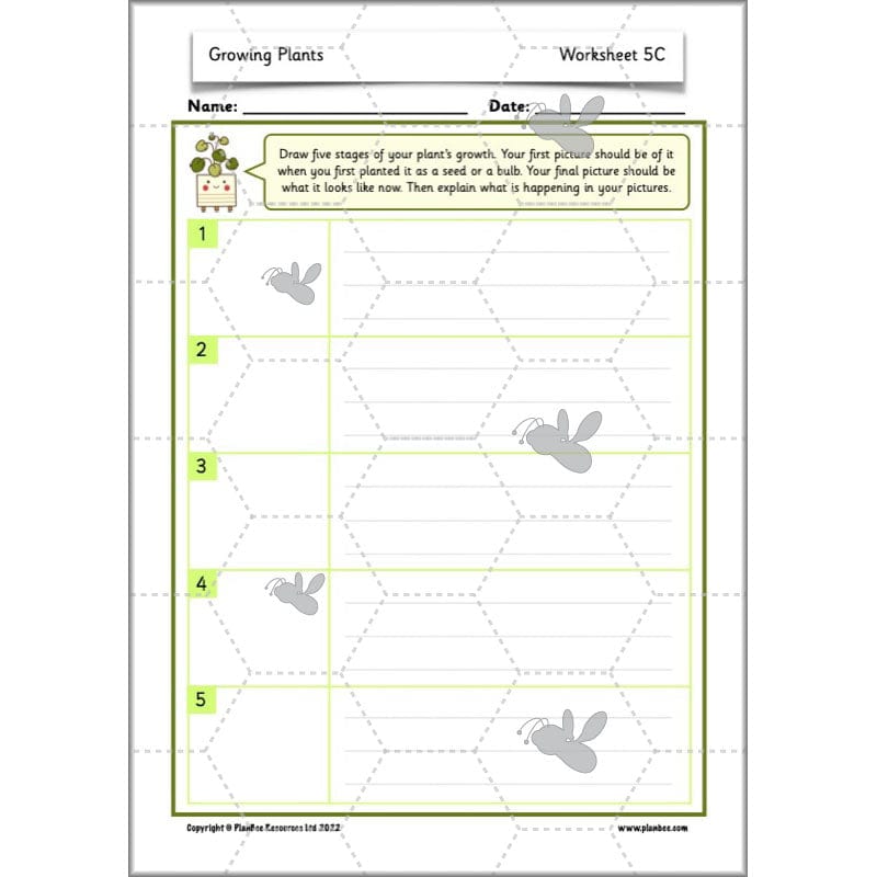 PlanBee Growing Plants KS1 Plants Year 2 Science Resources | PlanBee