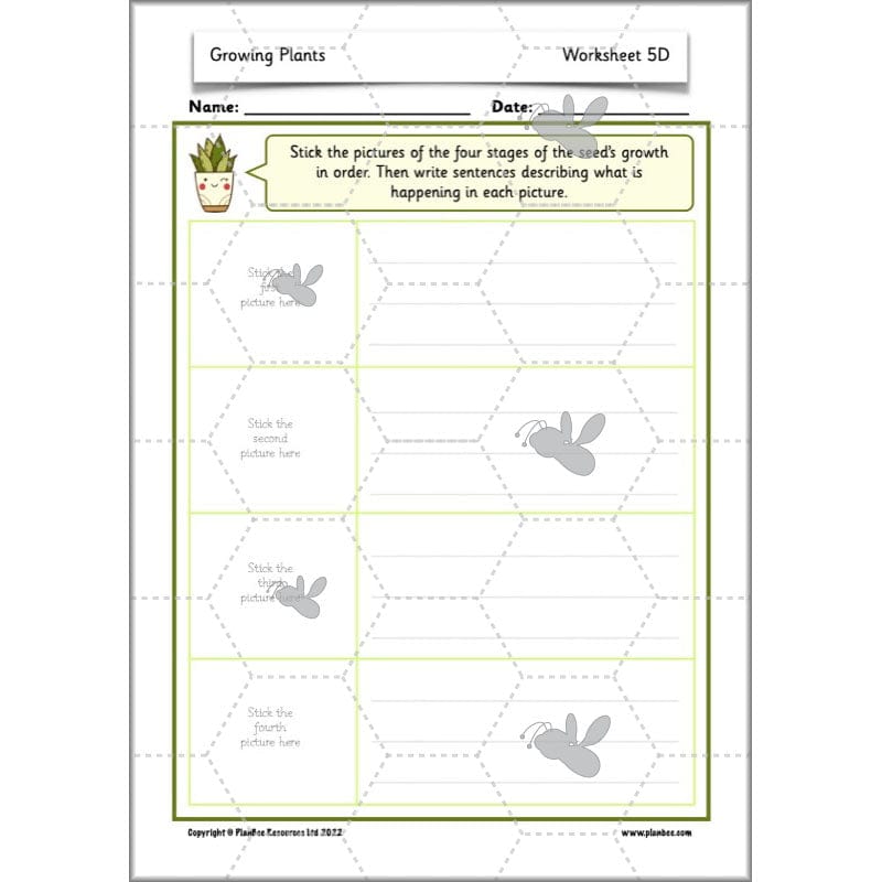 PlanBee Growing Plants KS1 Plants Year 2 Science Resources | PlanBee
