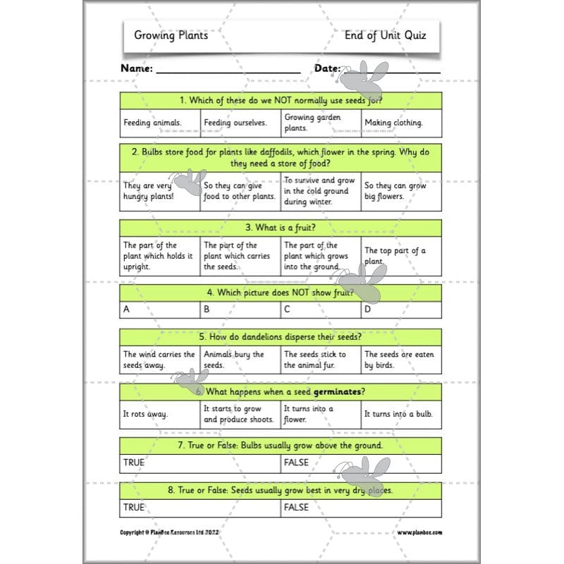 PlanBee Growing Plants KS1 Plants Year 2 Science Resources | PlanBee