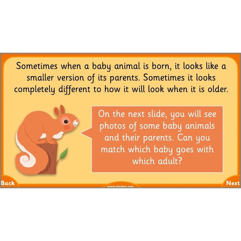 PlanBee Growth and Survival: Animals including Humans Year 2 Science