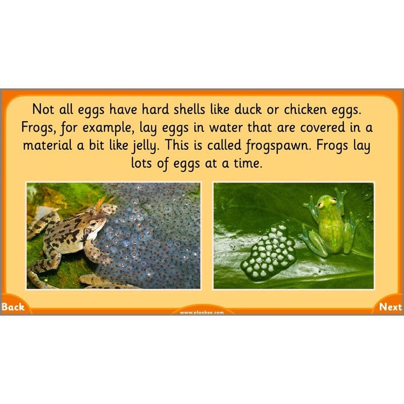 PlanBee Growth and Survival: Animals including Humans Year 2 Science