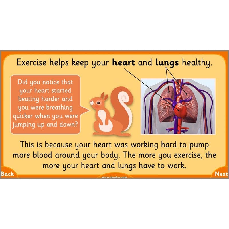 PlanBee Growth and Survival: Animals including Humans Year 2 Science