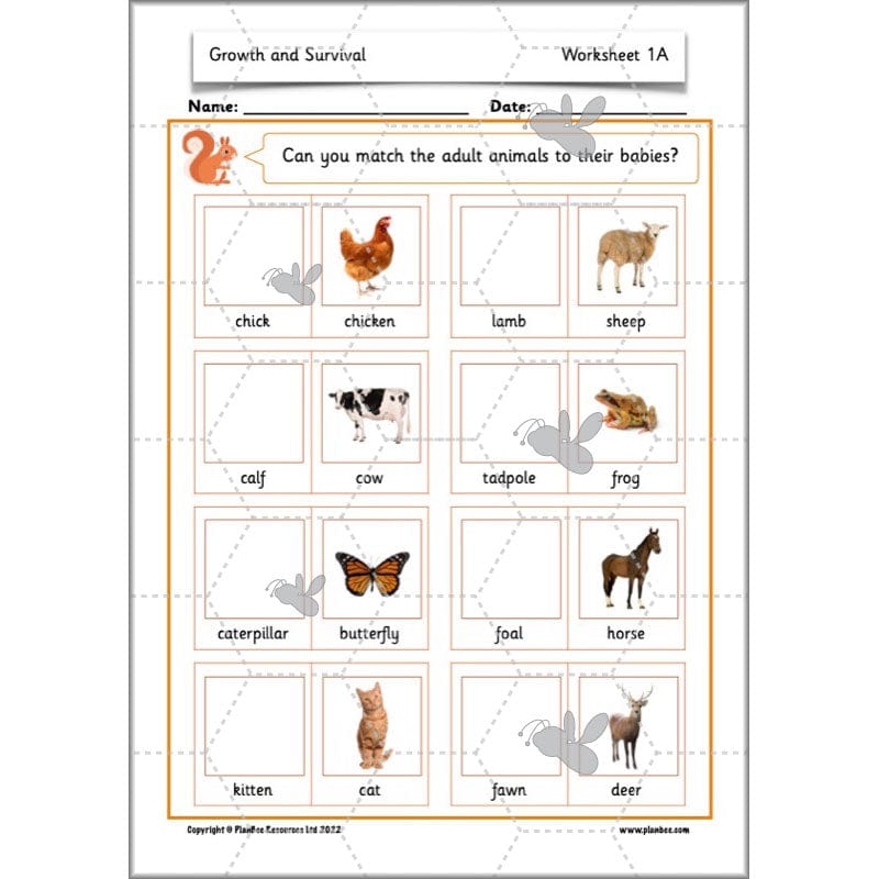 PlanBee Growth and Survival: Animals including Humans Year 2 Science