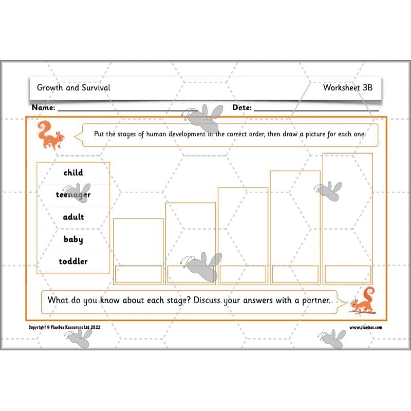 PlanBee Growth and Survival: Animals including Humans Year 2 Science