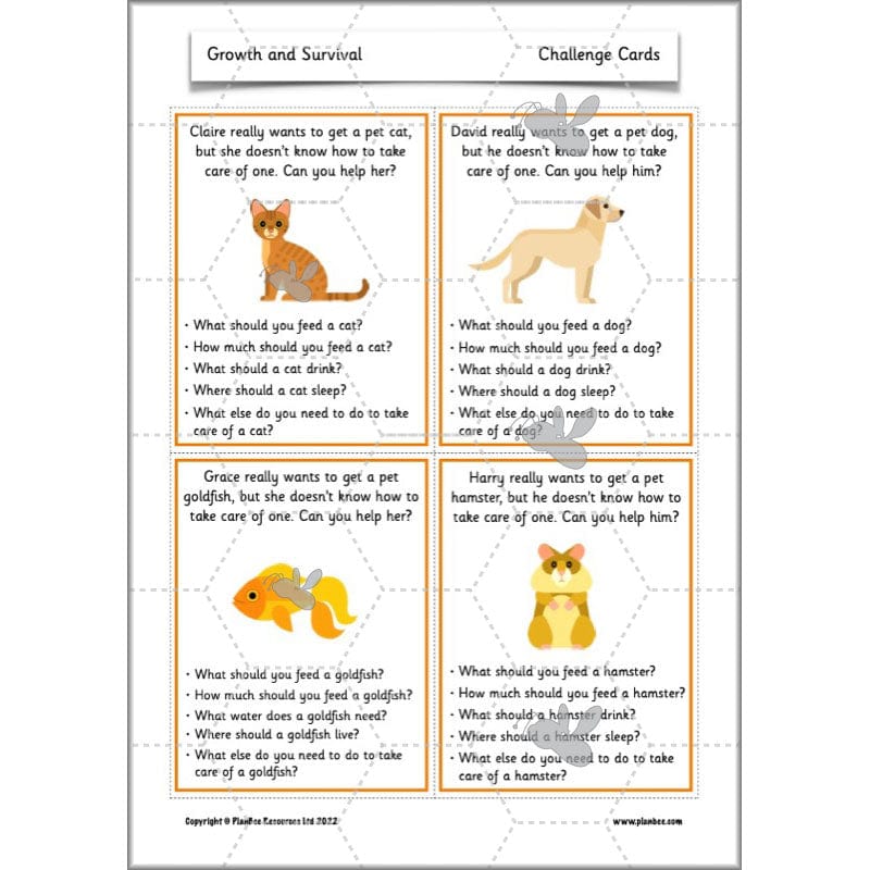 PlanBee Growth and Survival: Animals including Humans Year 2 Science