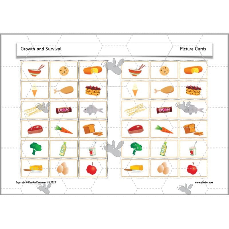 PlanBee Growth and Survival: Animals including Humans Year 2 Science