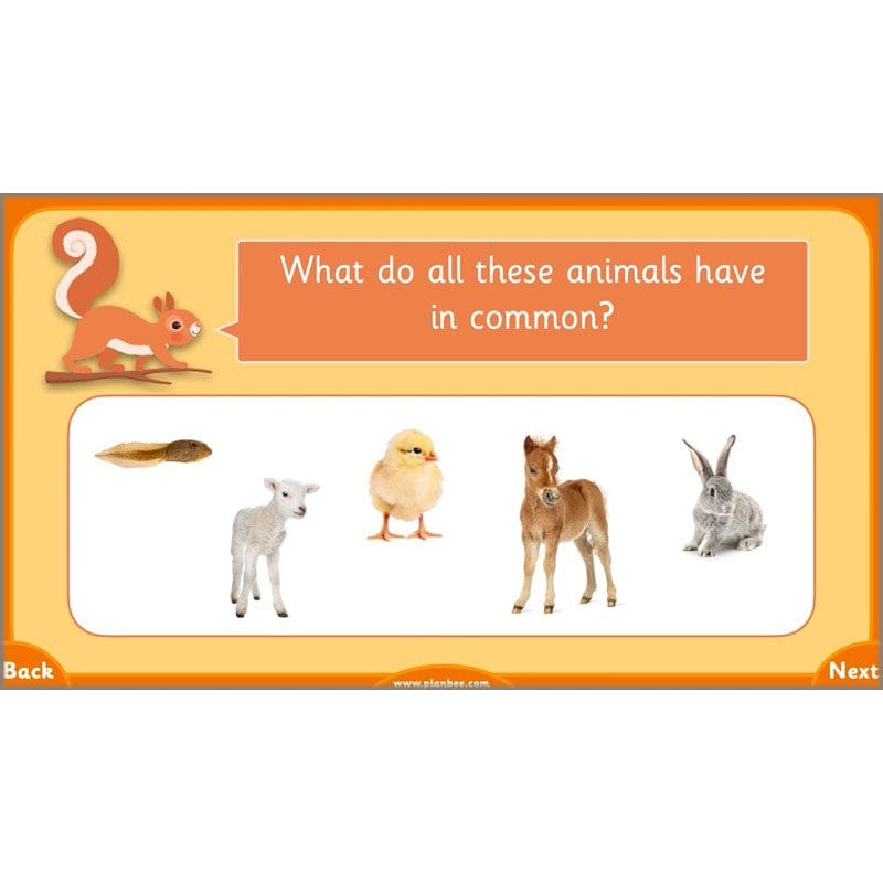 PlanBee Growth and Survival: Animals including Humans Year 2 Science