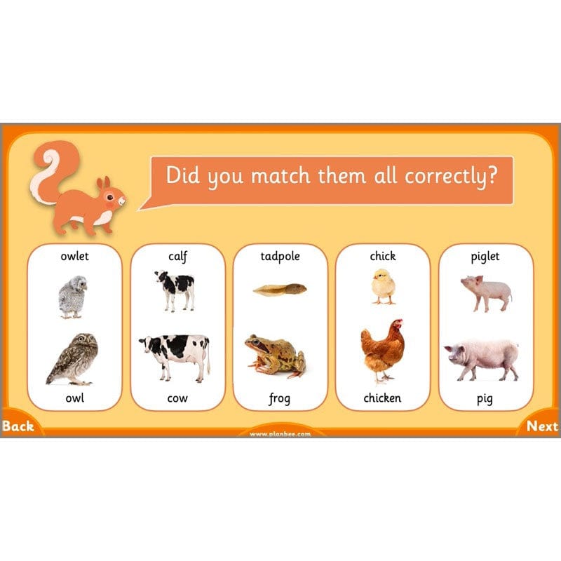 PlanBee Growth and Survival: Animals including Humans Year 2 Science