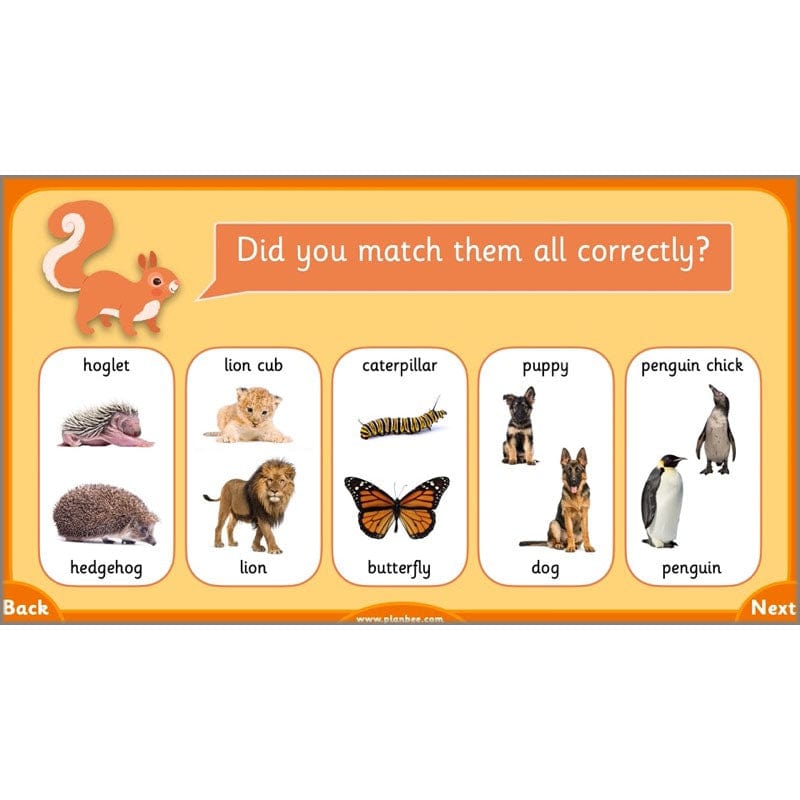 PlanBee Growth and Survival: Animals including Humans Year 2 Science