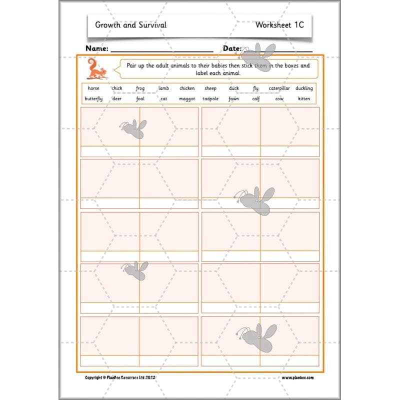 PlanBee Growth and Survival: Animals including Humans Year 2 Science
