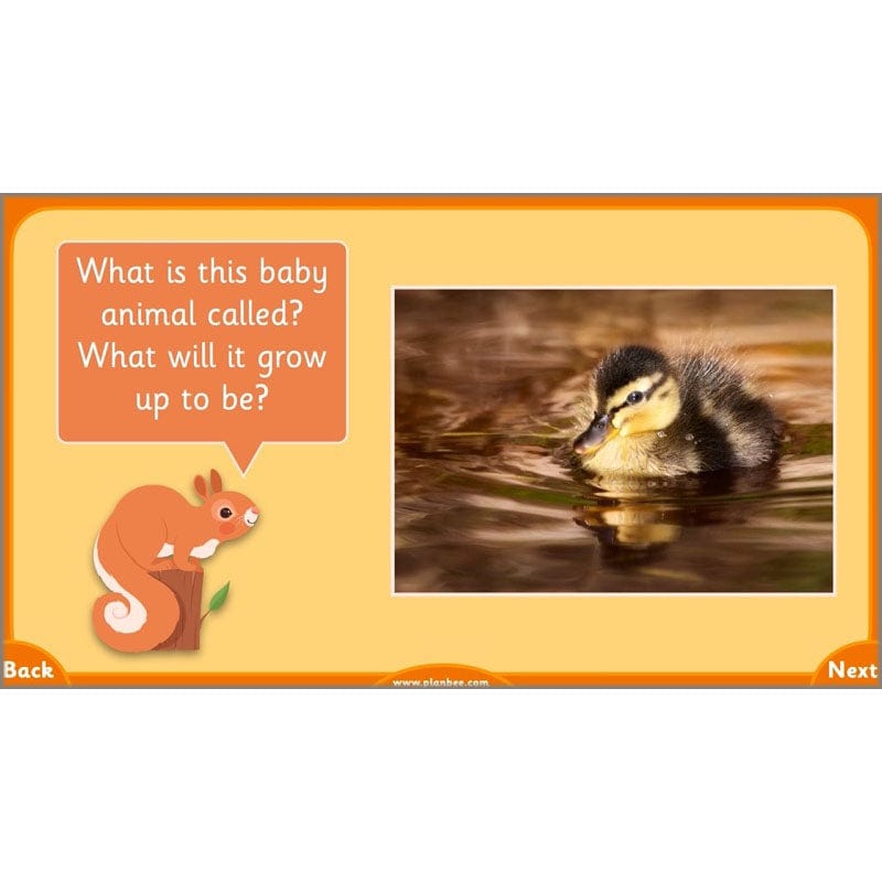 PlanBee Growth and Survival: Animals including Humans Year 2 Science