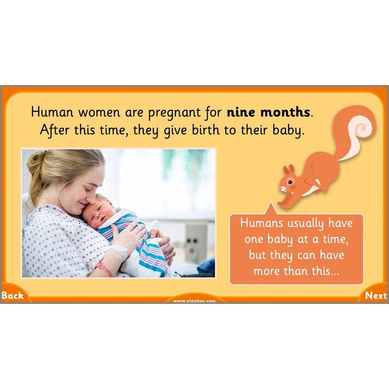 PlanBee Growth and Survival: Animals including Humans Year 2 Science