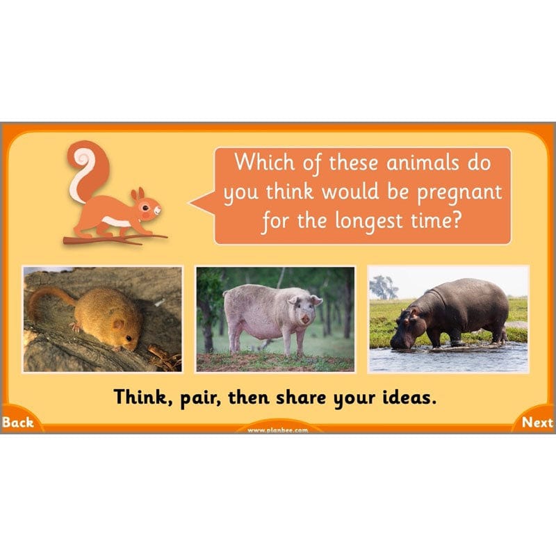 PlanBee Growth and Survival: Animals including Humans Year 2 Science