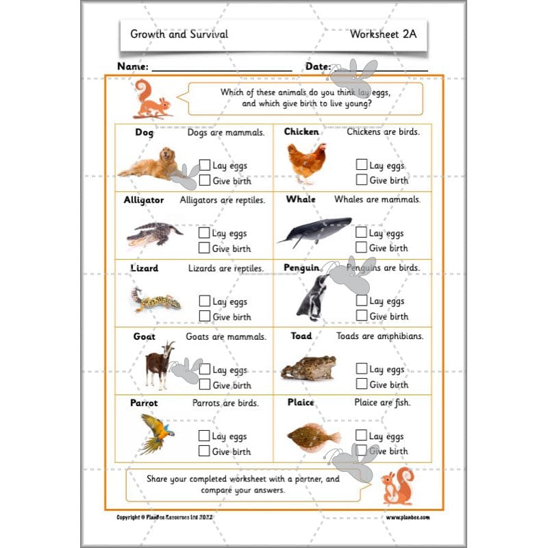 PlanBee Growth and Survival: Animals including Humans Year 2 Science