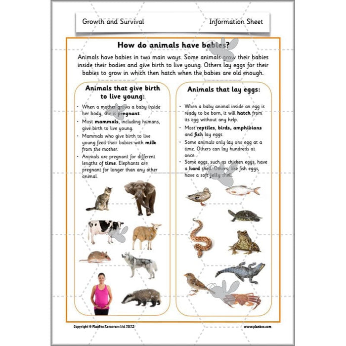 PlanBee Growth and Survival: Animals including Humans Year 2 Science