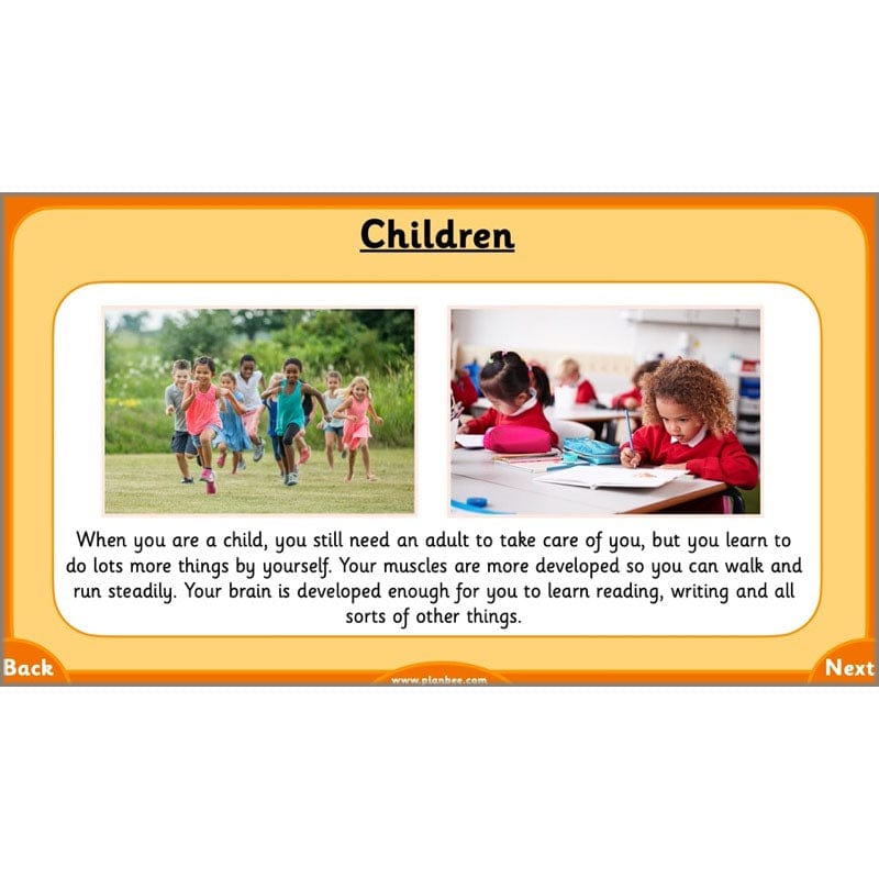 PlanBee Growth and Survival: Animals including Humans Year 2 Science