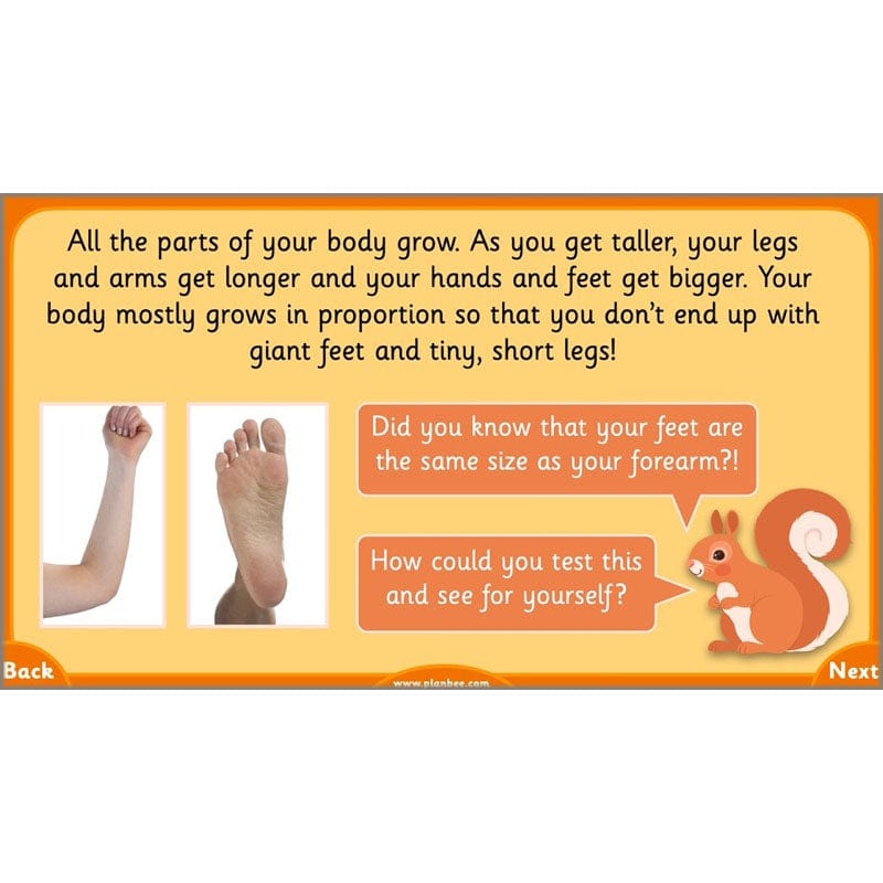 PlanBee Growth and Survival: Animals including Humans Year 2 Science