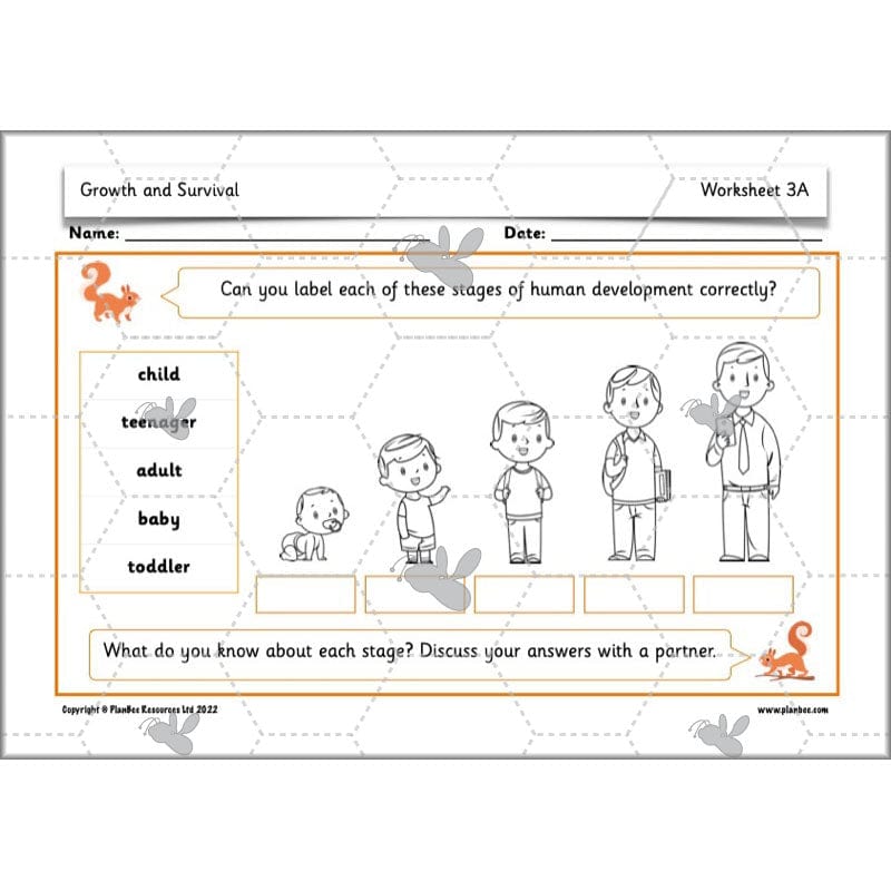 PlanBee Growth and Survival: Animals including Humans Year 2 Science