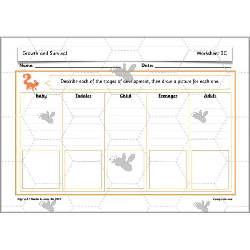 PlanBee Growth and Survival: Animals including Humans Year 2 Science