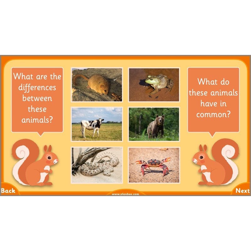 PlanBee Growth and Survival: Animals including Humans Year 2 Science