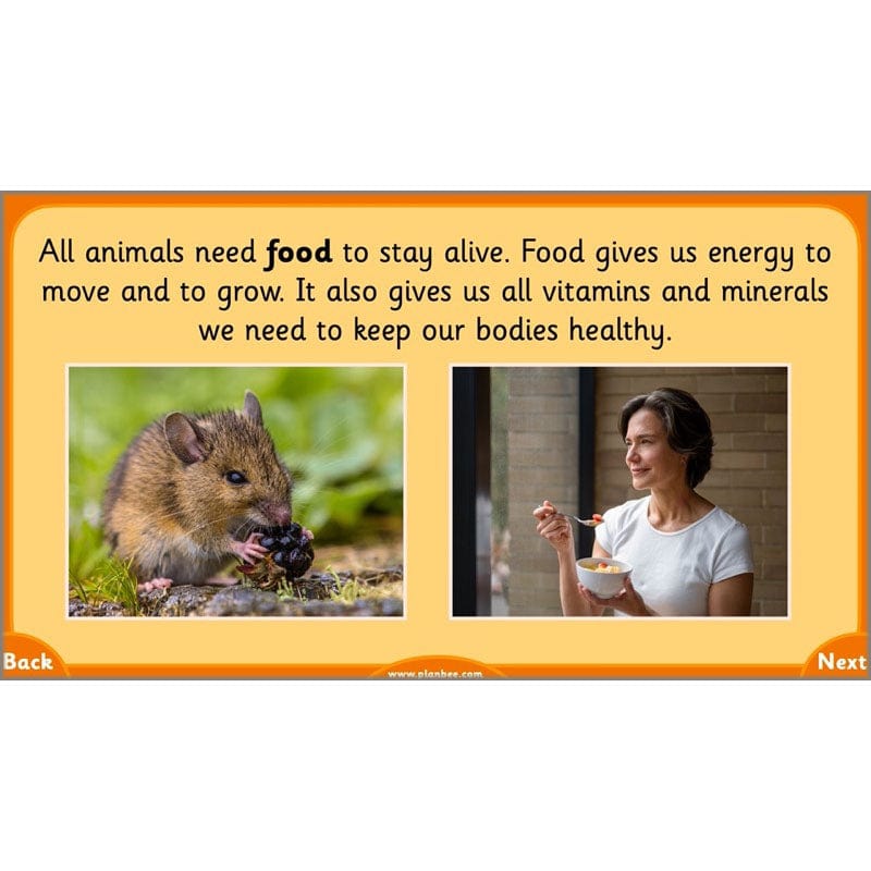 PlanBee Growth and Survival: Animals including Humans Year 2 Science