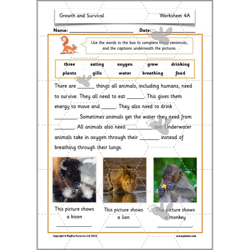 PlanBee Growth and Survival: Animals including Humans Year 2 Science
