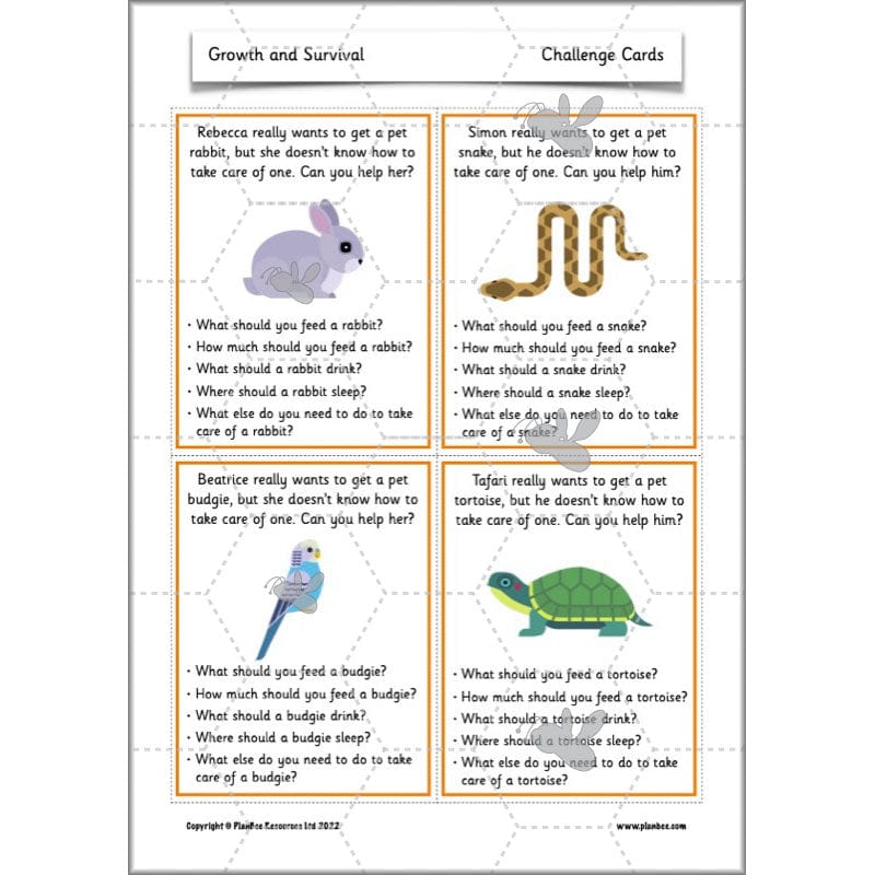 PlanBee Growth and Survival: Animals including Humans Year 2 Science