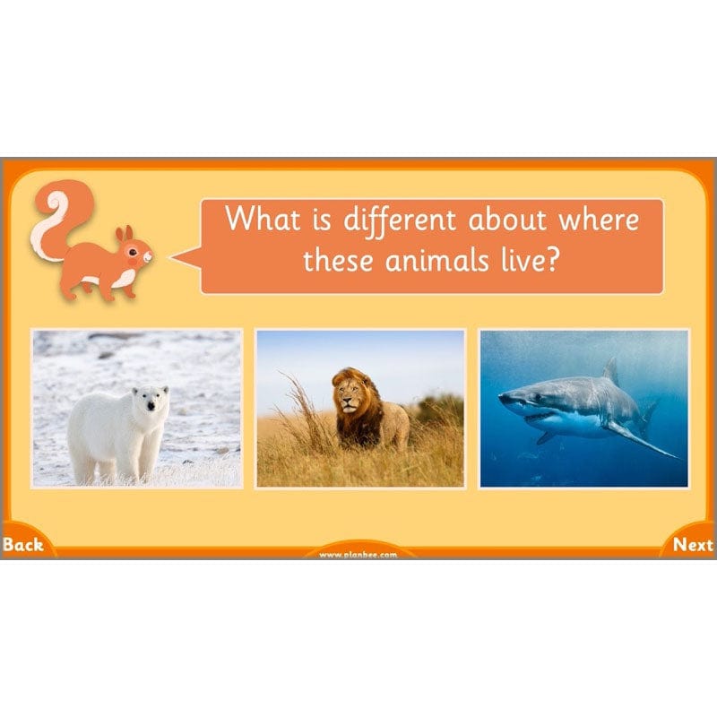 PlanBee Growth and Survival: Animals including Humans Year 2 Science