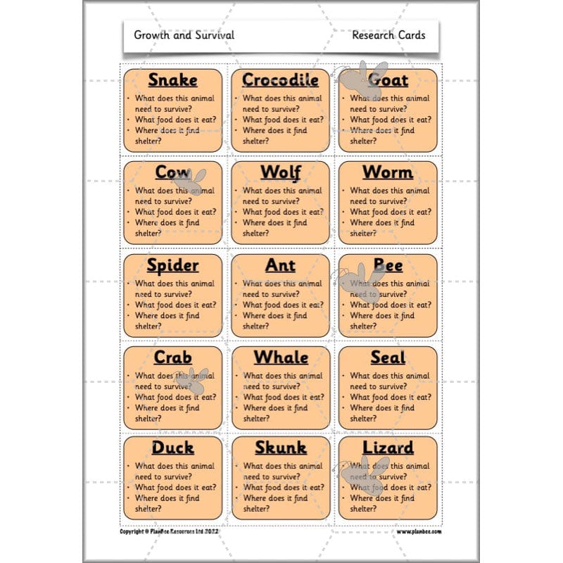 PlanBee Growth and Survival: Animals including Humans Year 2 Science