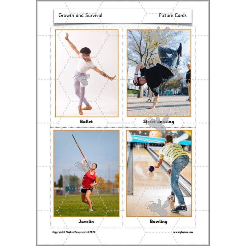 PlanBee Growth and Survival: Animals including Humans Year 2 Science