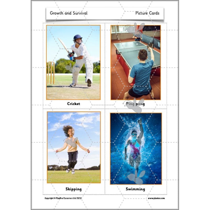 PlanBee Growth and Survival: Animals including Humans Year 2 Science