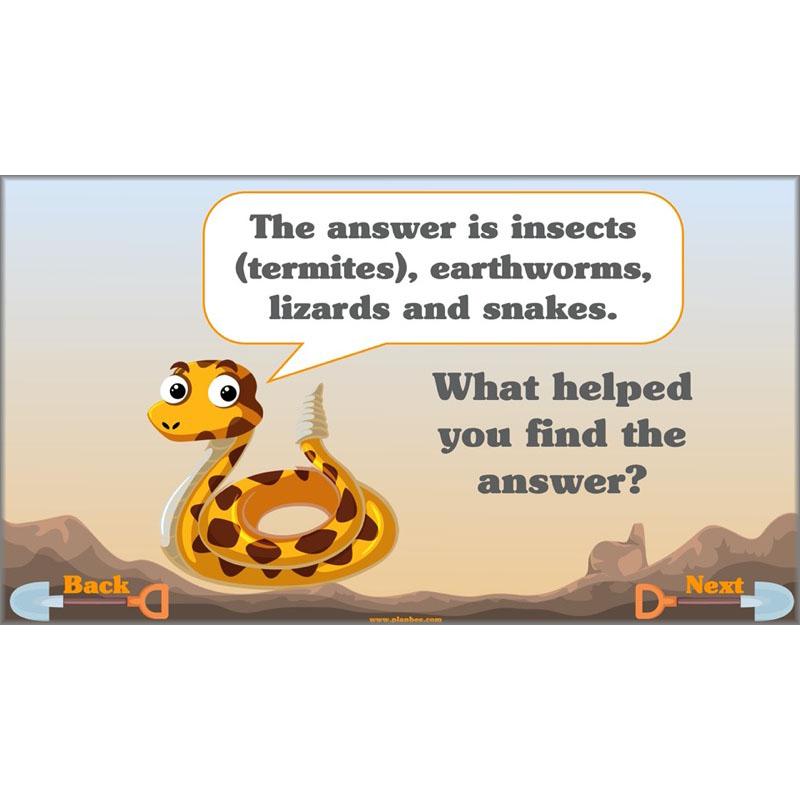 Holes | Non-chronological Reports Year 5 | PlanBee