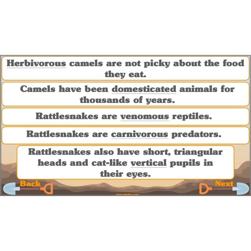 Holes | Non-chronological Reports Year 5 | PlanBee