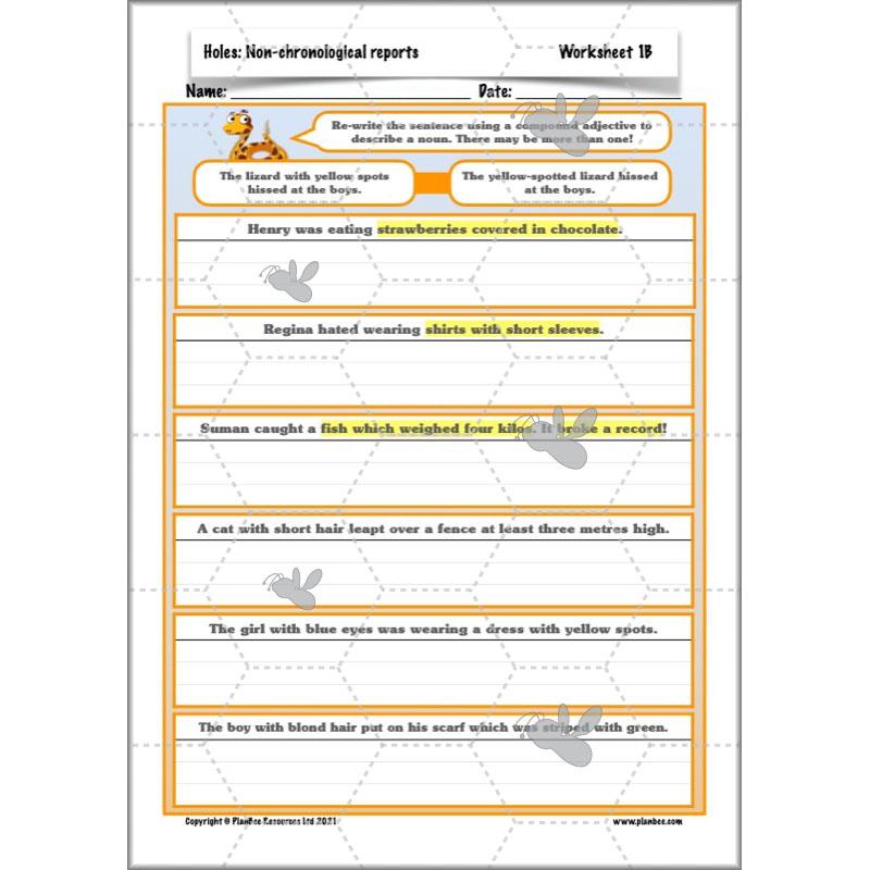 Holes | Non-chronological Reports Year 5 | PlanBee