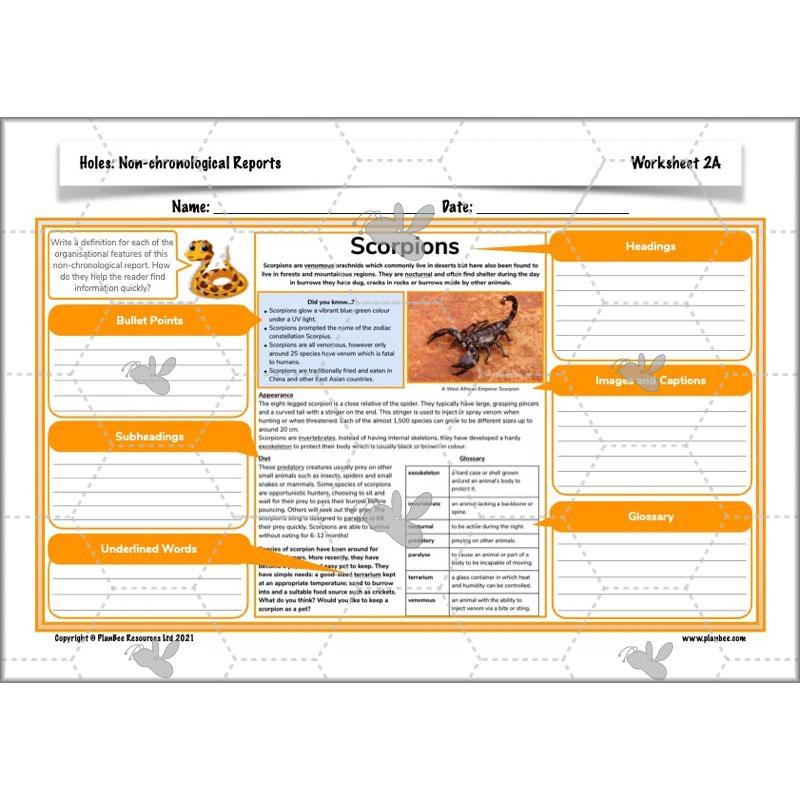 Holes | Non-chronological Reports Year 5 | PlanBee