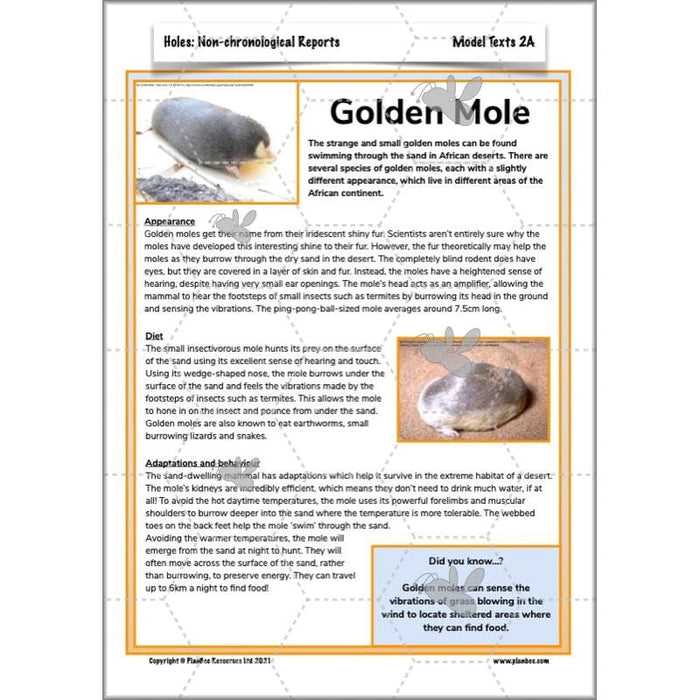 Holes | Non-chronological Reports Year 5 | PlanBee