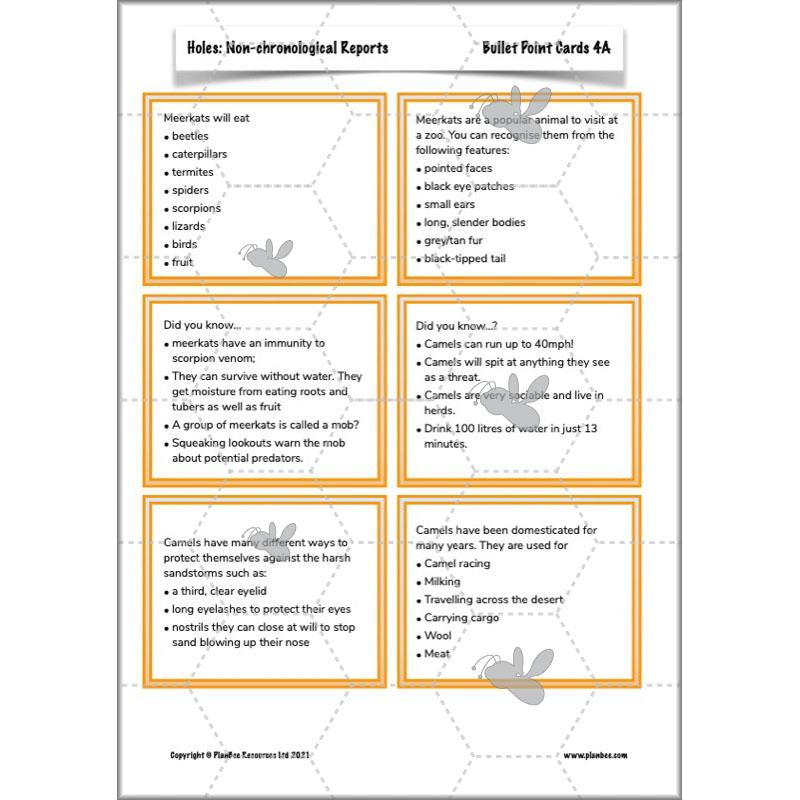 Holes | Non-chronological Reports Year 5 | PlanBee