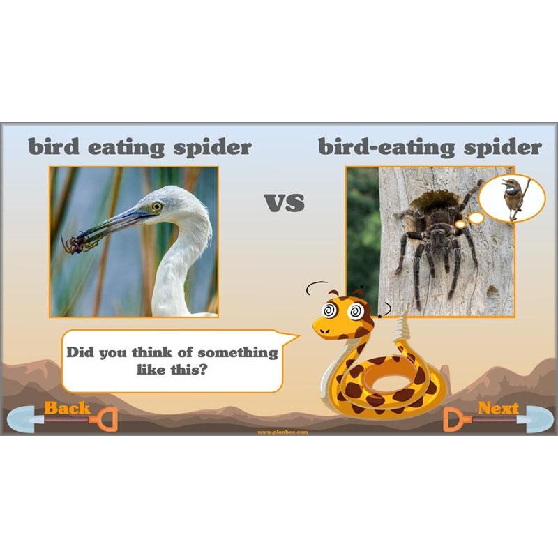 Holes | Non-chronological Reports Year 5 | PlanBee