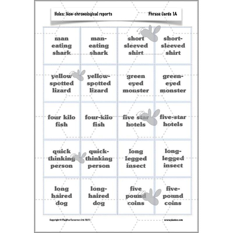 Holes | Non-chronological Reports Year 5 | PlanBee