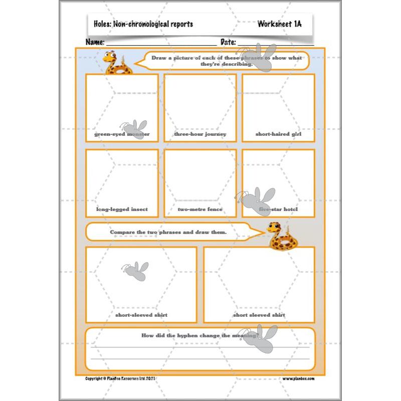 Holes | Non-chronological Reports Year 5 | PlanBee