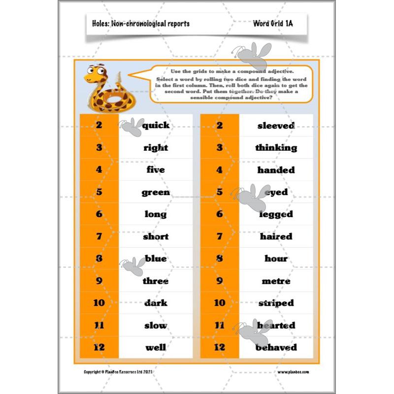 Holes | Non-chronological Reports Year 5 | PlanBee