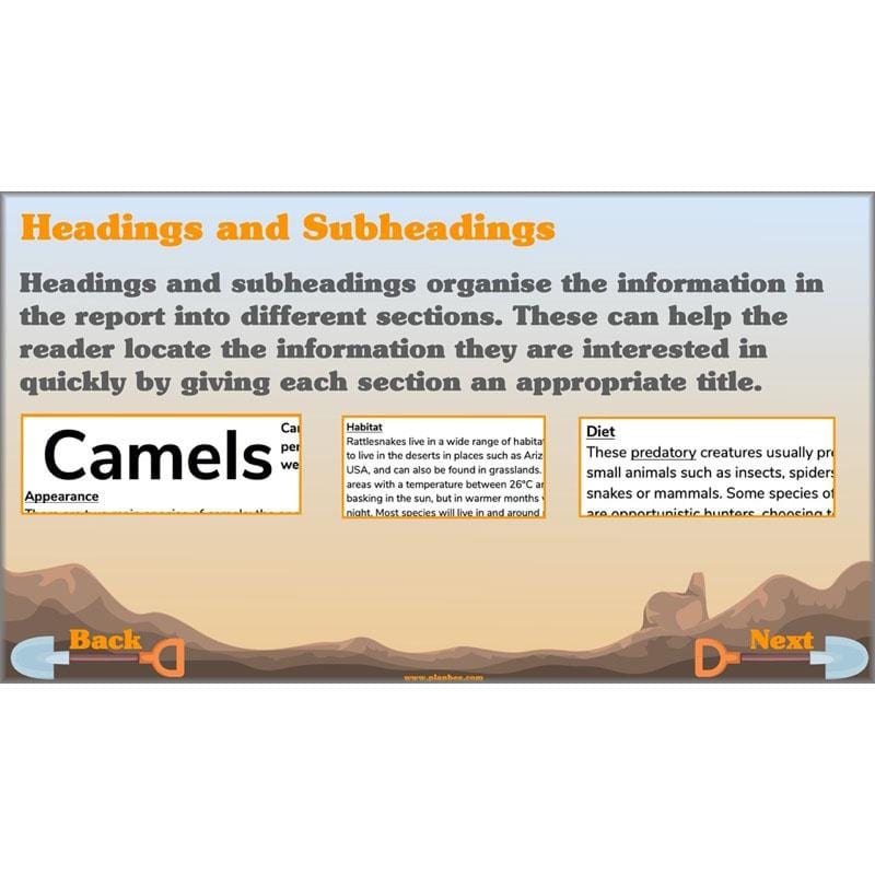 Holes | Non-chronological Reports Year 5 | PlanBee