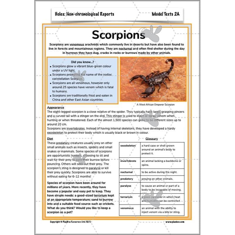 Holes | Non-chronological Reports Year 5 | PlanBee