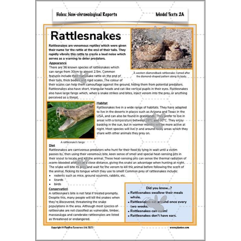 Holes | Non-chronological Reports Year 5 | PlanBee